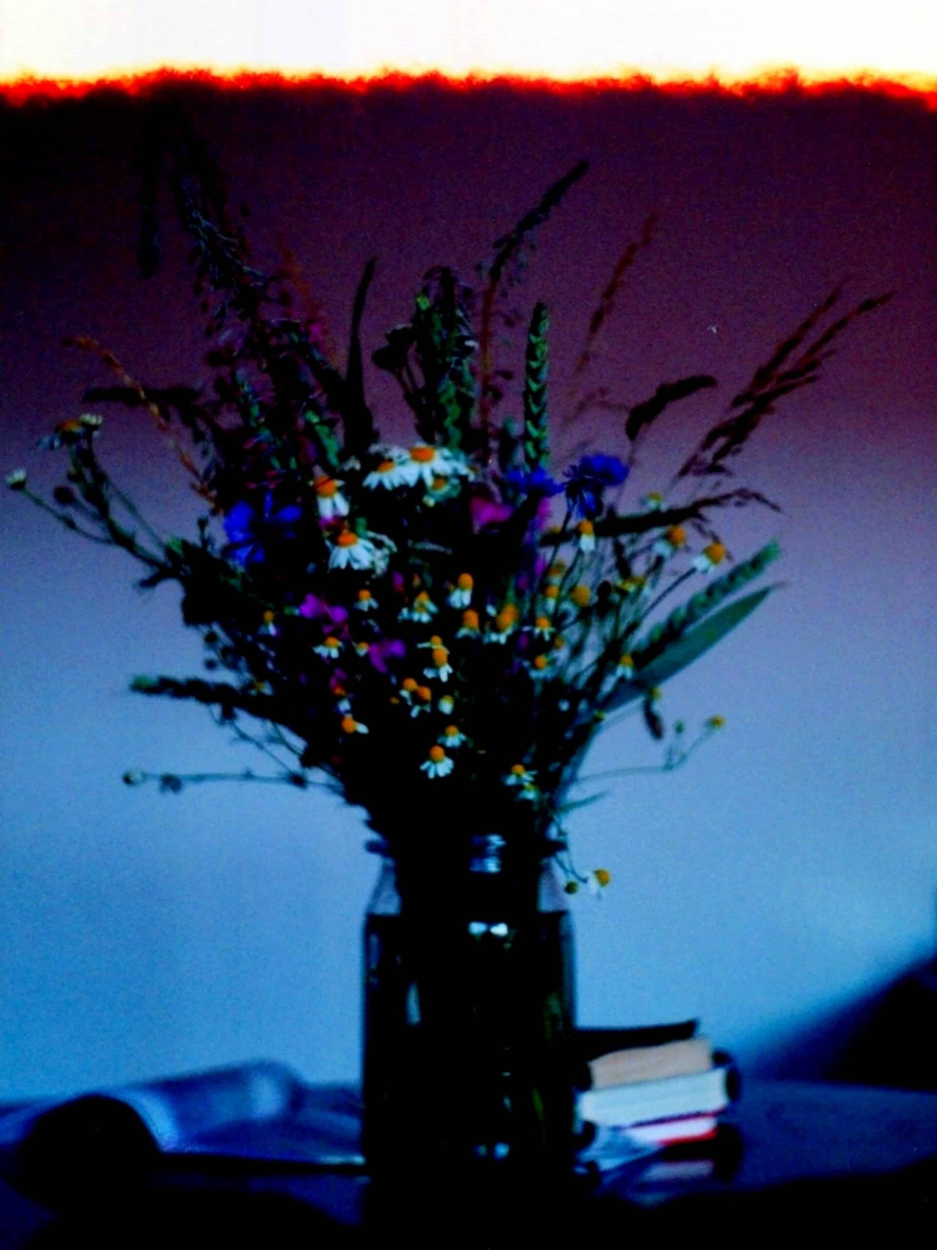 Fine Art Photography 17