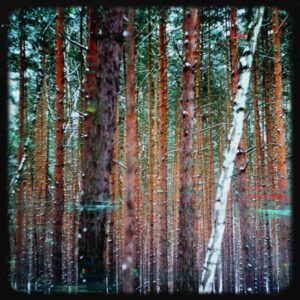 Fine Art Photography 41